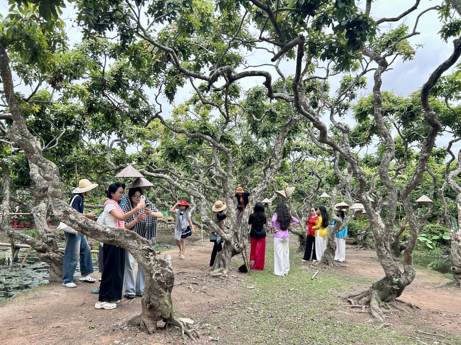 Cồn Sơn (TP Cần Thơ) – “ốc đảo xanh” trỗi dậy nhờ sức dân và cách làm du lịch tử tế Cồn Sơn (TP Cần Thơ) – “ốc đảo xanh” trỗi dậy nhờ sức dân và cách làm du lịch tử tế