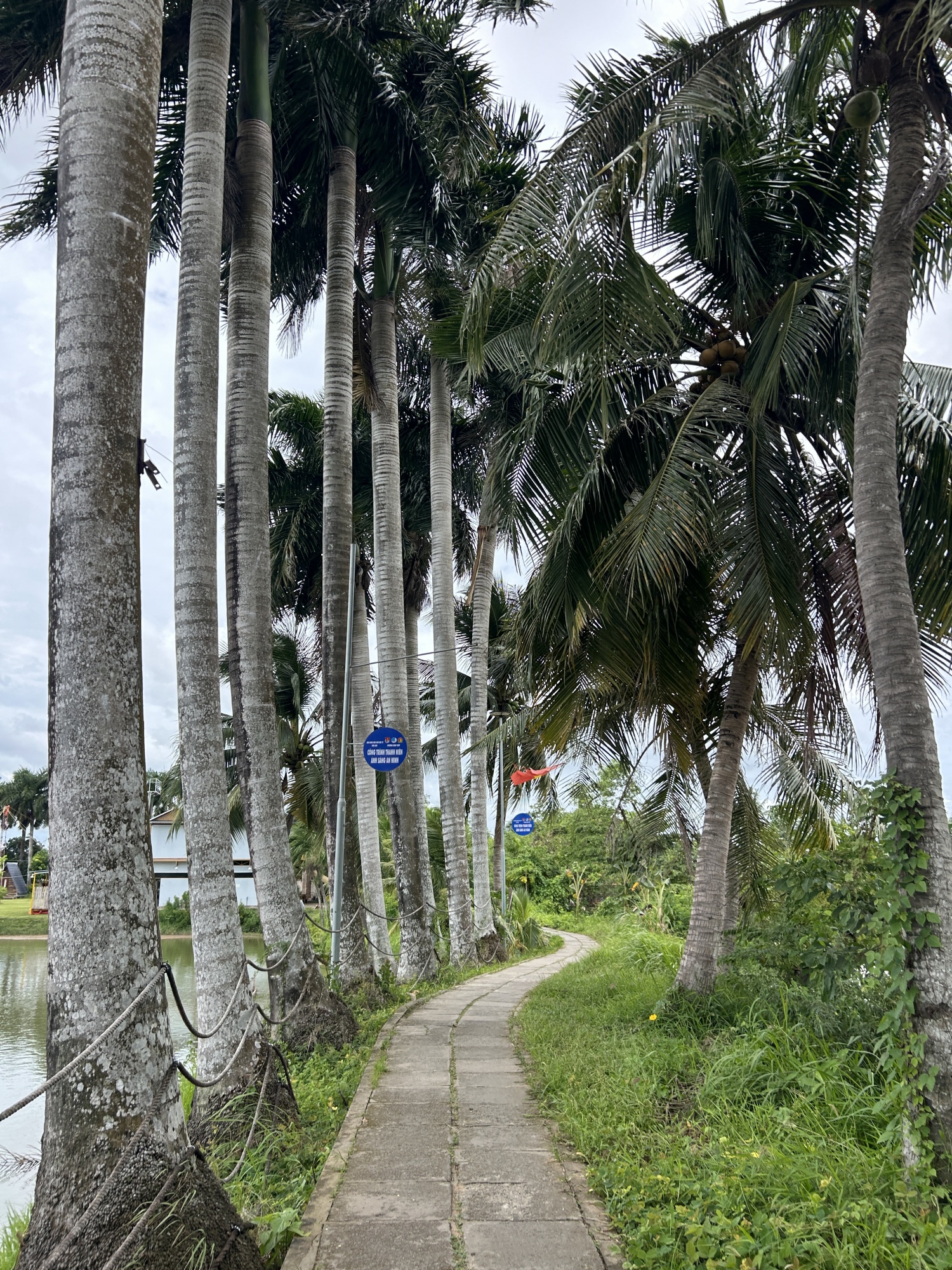 Cồn Sơn (TP Cần Thơ) – “ốc đảo xanh” trỗi dậy nhờ sức dân và cách làm du lịch tử tế Cồn Sơn (TP Cần Thơ) – “ốc đảo xanh” trỗi dậy nhờ sức dân và cách làm du lịch tử tế
