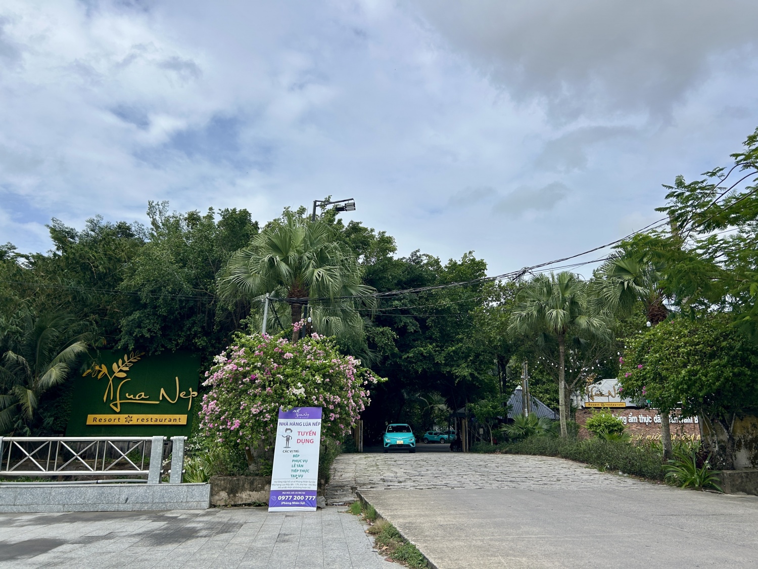 Cần Thơ đẩy nhanh đấu giá đất, xử lý nhiều khu “đất vàng”