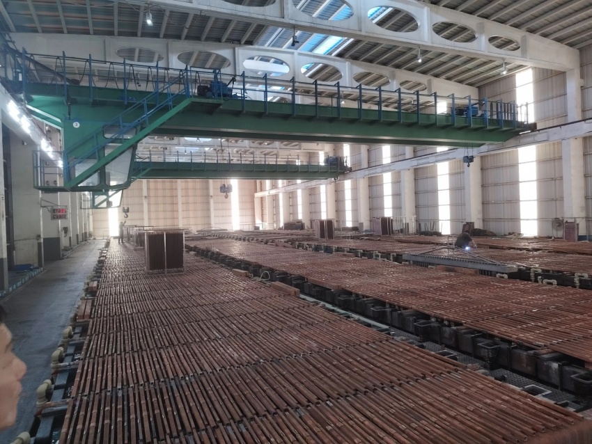 Sức vóc 