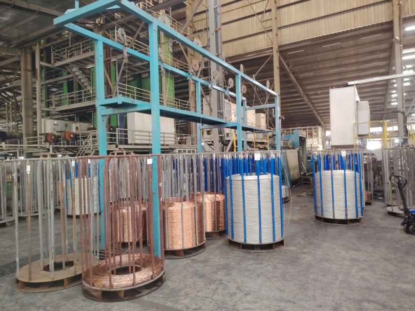 Sức vóc 