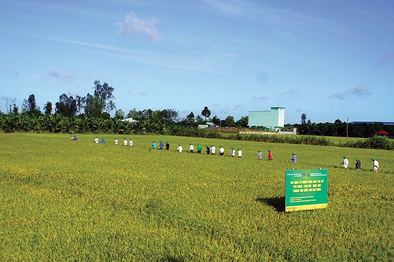An ninh năng lượng - Nền tảng bảo đảm an ninh lương thực và ổn định kinh tế An ninh năng lượng - Nền tảng bảo đảm an ninh lương thực và ổn định kinh tế