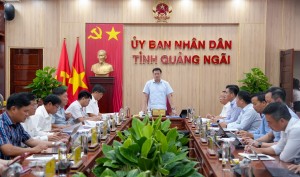 Quảng Ngãi đẩy nhanh tiến độ hoàn thiện đề án Trung tâm lọc hóa dầu và năng lượng quốc gia