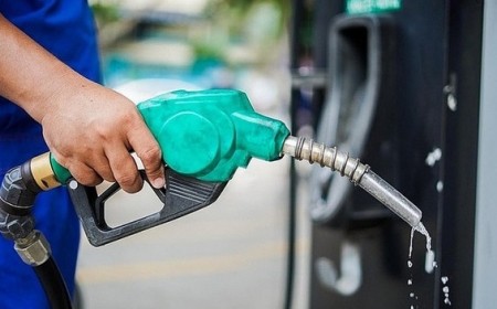Tiếp tục xây dựng các phương án hỗ trợ bình ổn thị trường xăng dầu