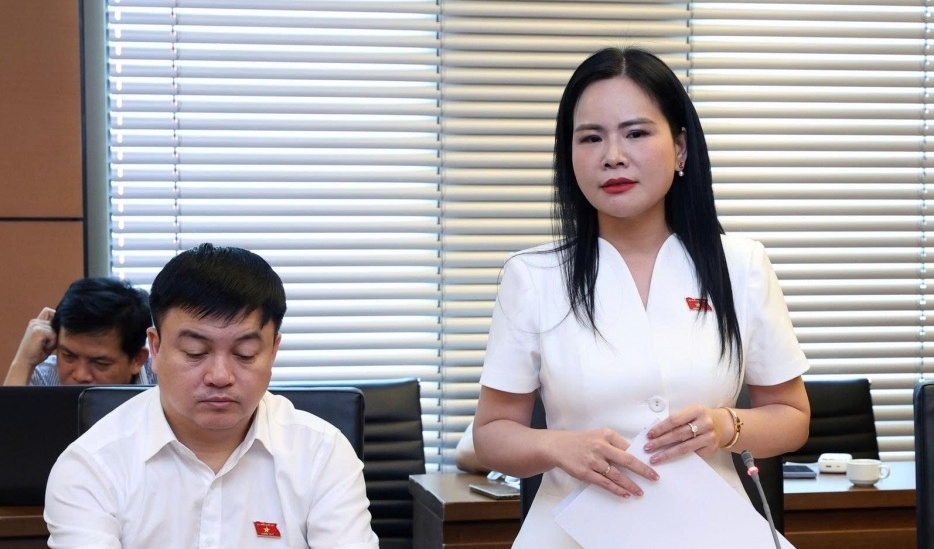 ĐBQH Nguyễn Thị Bình: Hoàn thiện khung pháp lý để mở đường phát triển năng lượng ngoài khơi