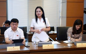 ĐBQH Nguyễn Thị Bình: Hoàn thiện khung pháp lý để mở đường phát triển năng lượng ngoài khơi