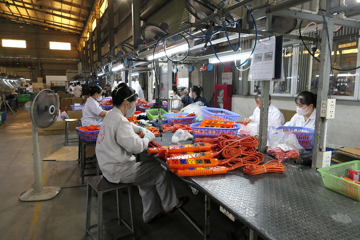 Lối đi độc đạo - LiOA - Made in Vietnam