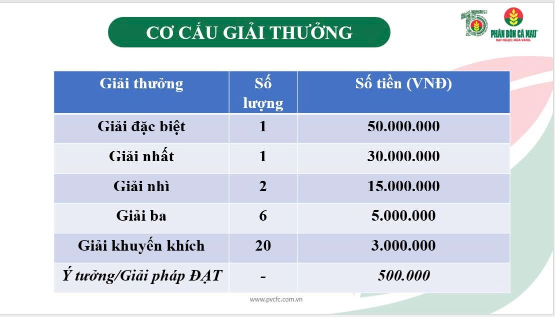 Cuộc thi 