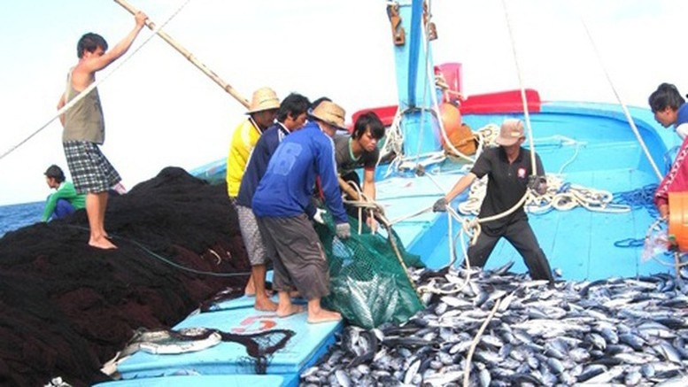 Kế hoạch khắc phục khuyến nghị của EC về chống khai thác IUU Kế hoạch khắc phục khuyến nghị của EC về chống khai thác IUU