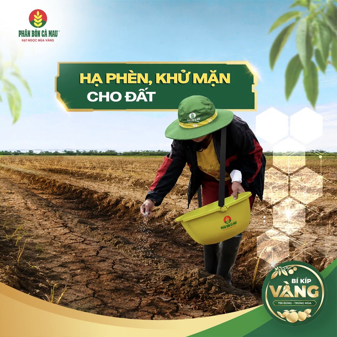 Urea Bio Cà Mau: Thêm giải pháp dinh dưỡng giúp cây trồng thích ứng phèn, mặn Urea Bio Cà Mau: Thêm giải pháp dinh dưỡng giúp cây trồng thích ứng phèn, mặn