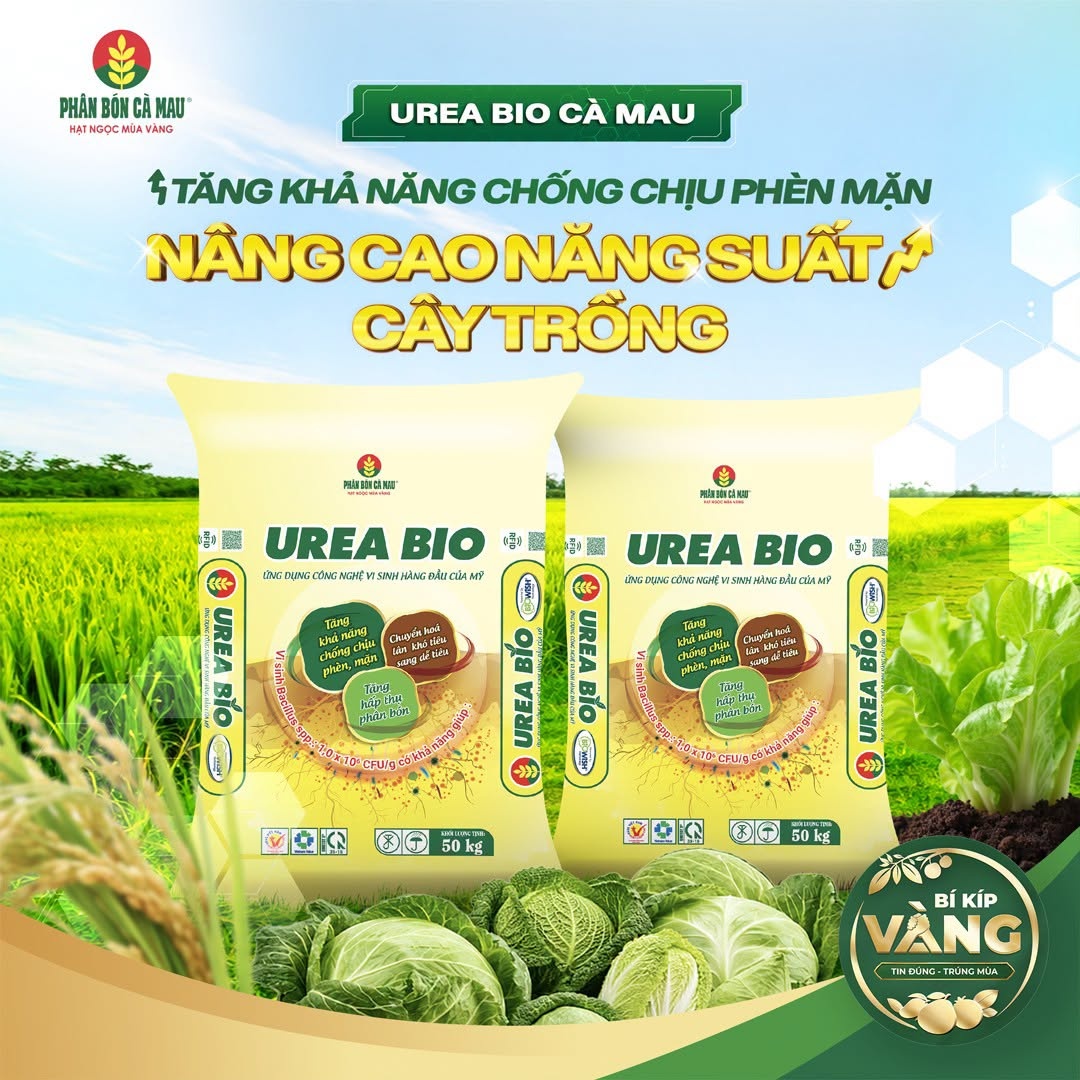 Urea Bio Cà Mau: Thêm giải pháp dinh dưỡng giúp cây trồng thích ứng phèn, mặn Urea Bio Cà Mau: Thêm giải pháp dinh dưỡng giúp cây trồng thích ứng phèn, mặn