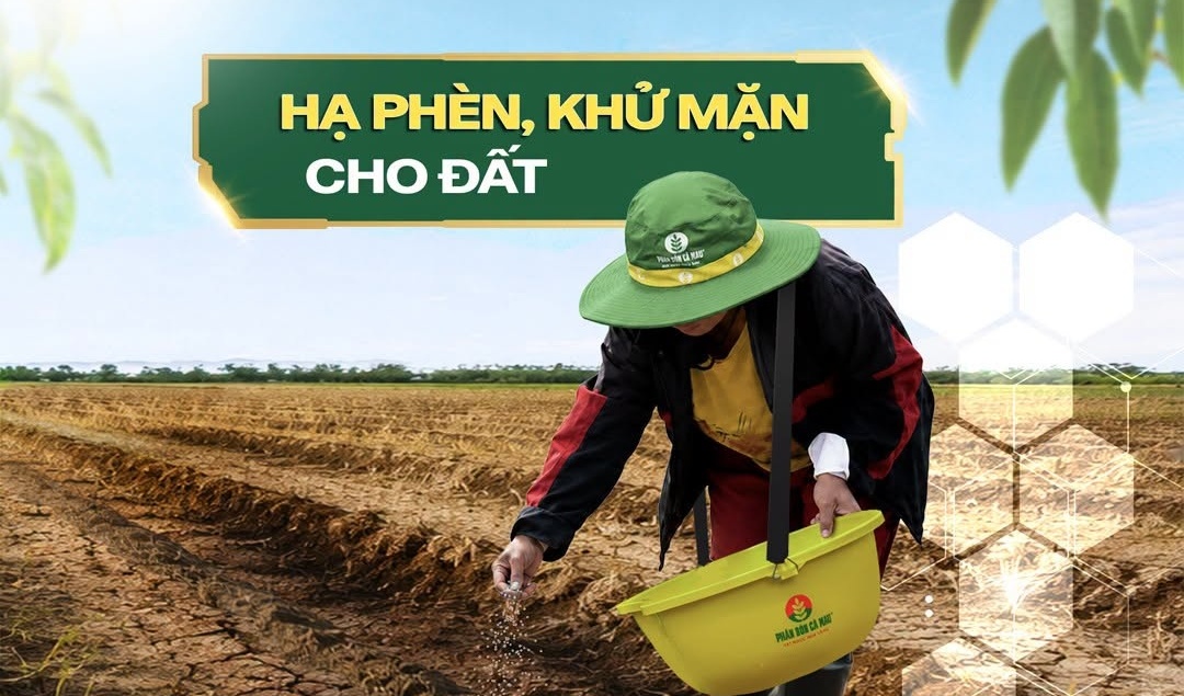 Urea Bio Cà Mau: Thêm giải pháp dinh dưỡng giúp cây trồng thích ứng phèn, mặn
