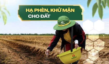 Urea Bio Cà Mau: Thêm giải pháp dinh dưỡng giúp cây trồng thích ứng phèn, mặn