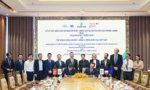 Petrovietnam và AFD thúc đẩy hợp tác phát triển các dự án chuyển dịch năng lượng