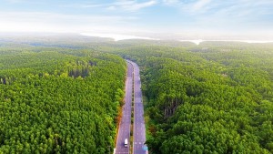 Dấu ấn của Vinhomes trong kỷ nguyên đô thị bền vững qua lăng kính truyền thông quốc tế