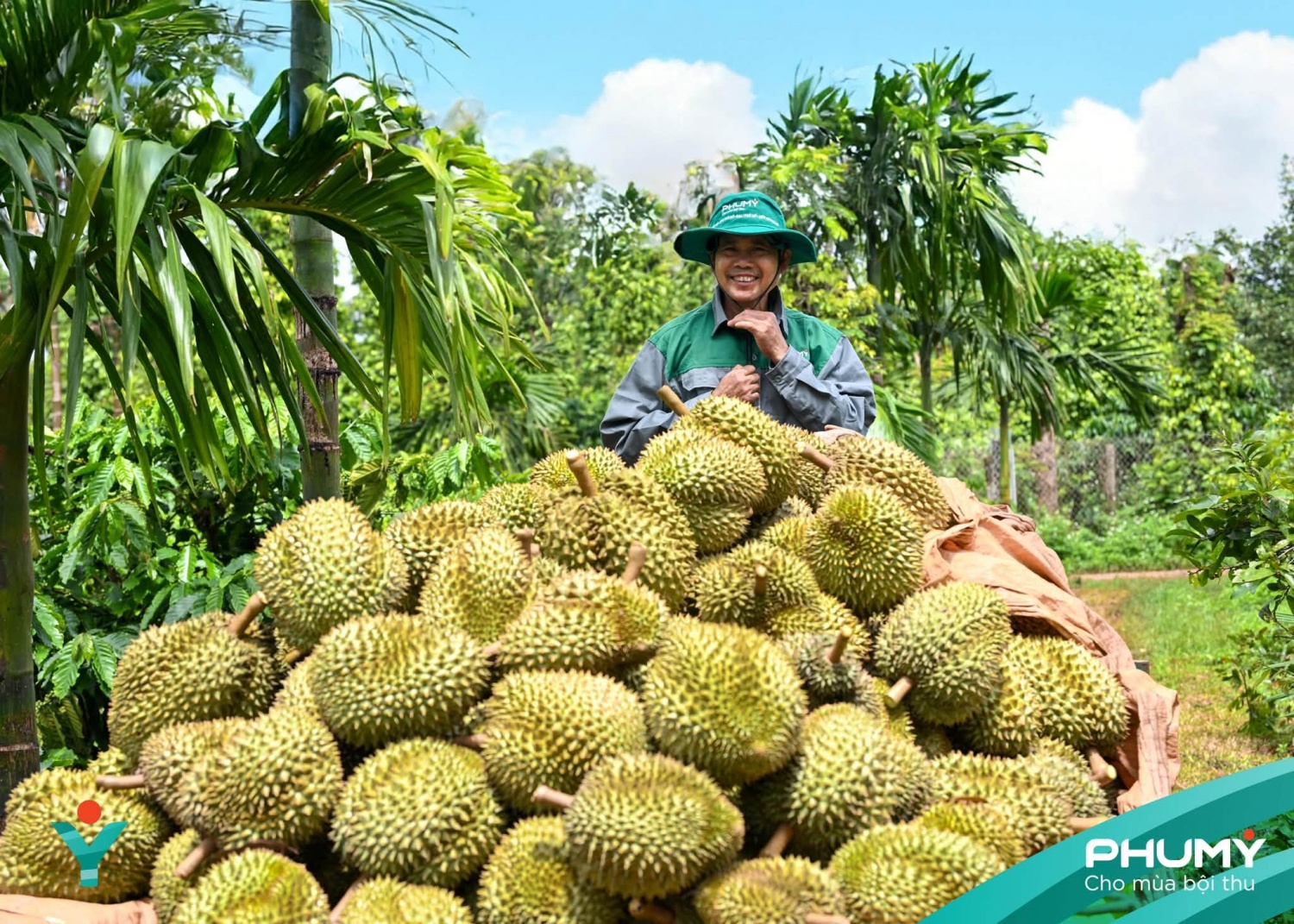 Dấu ấn đậm nét của Phú Mỹ tại Lễ hội Sầu riêng Đắk Lắk 2026 Dấu ấn đậm nét của Phú Mỹ tại Lễ hội Sầu riêng Đắk Lắk 2026