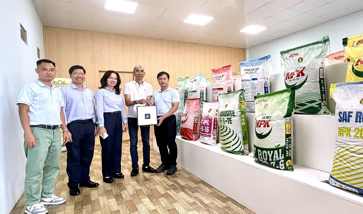 PVCFC mở rộng không gian tăng trưởng: Kết nối thị trường, tiến sâu hơn vào vùng nguyên liệu