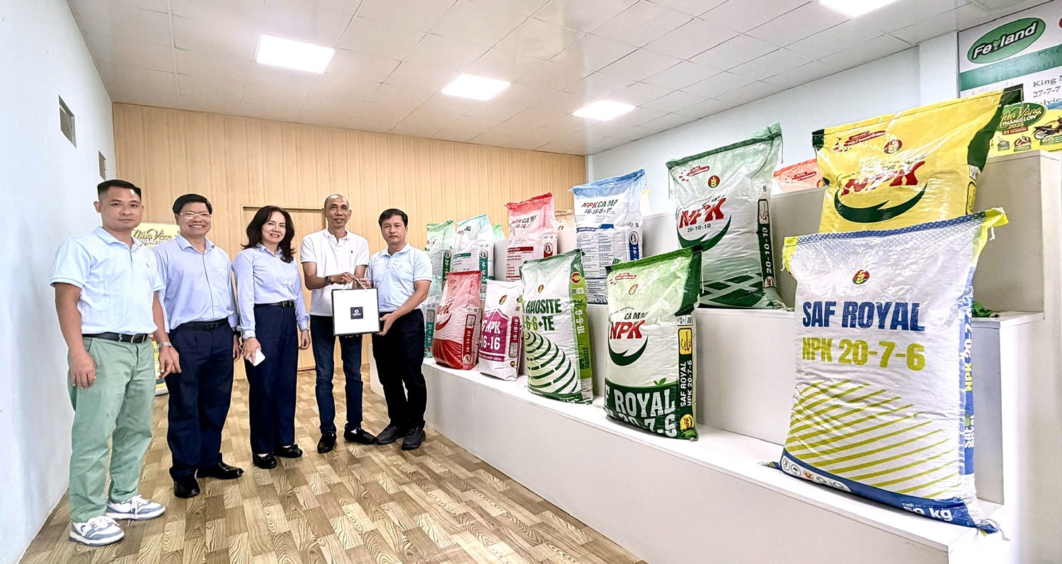 PVCFC mở rộng không gian tăng trưởng: Kết nối thị trường, tiến sâu hơn vào vùng nguyên liệu