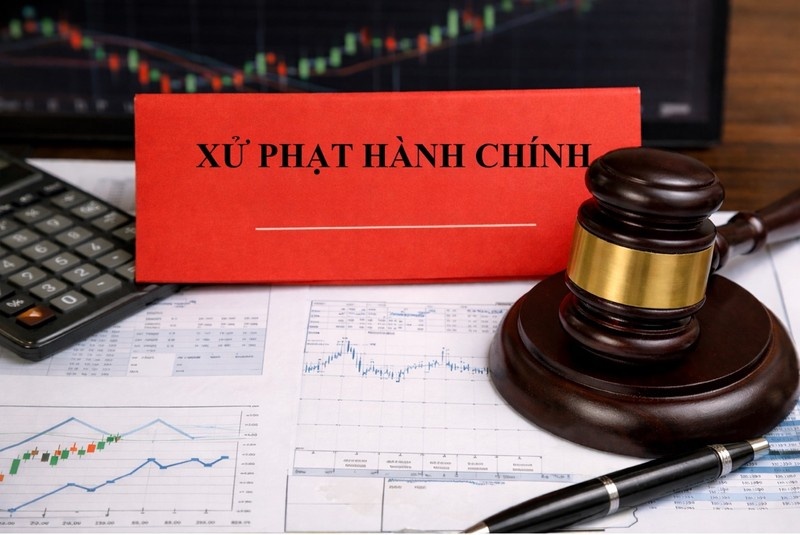 Vì sao Công ty Cổ phần Điện nhẹ Viễn thông bị xử phạt?