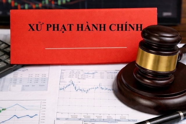 Vì sao Công ty Cổ phần Điện nhẹ Viễn thông bị xử phạt?