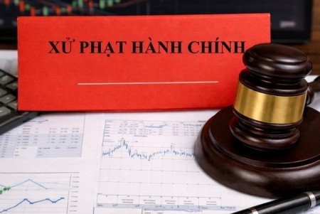 Vì sao Công ty Cổ phần Điện nhẹ Viễn thông bị xử phạt?