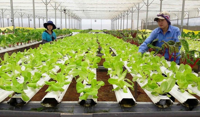 Tin tức nổi bật ngày 21/8: Đường sắt tăng cường nhiều chuyến tàu trọng điểm dịp nghỉ lễ 2/9 Tin tức nổi bật ngày 21/8: Đường sắt tăng cường nhiều chuyến tàu trọng điểm dịp nghỉ lễ 2/9