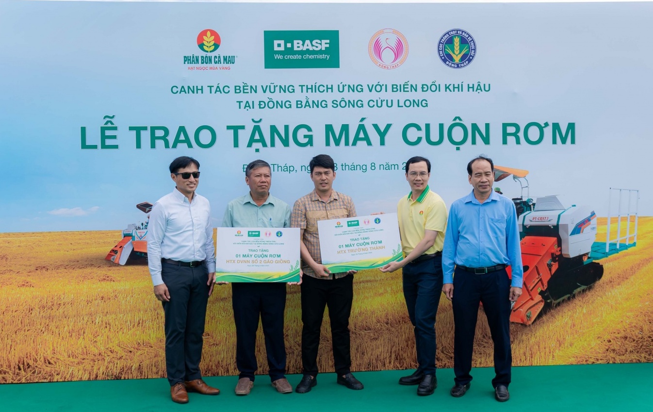 Phân bón Cà Mau mở lối canh tác lúa thích ứng biến đổi khí hậu