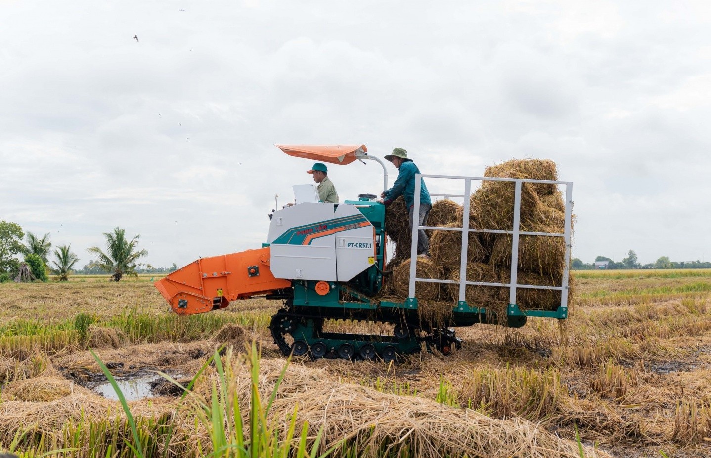 Tin tức nổi bật ngày 10/9: Tăng mức hỗ trợ phí bảo hiểm nông nghiệp lên tối đa 95%