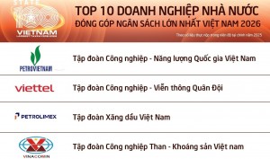PETROVIETNAM Tops Vietnam's Top 100 State-Owned Enterprises with Largest State Budget Contributions