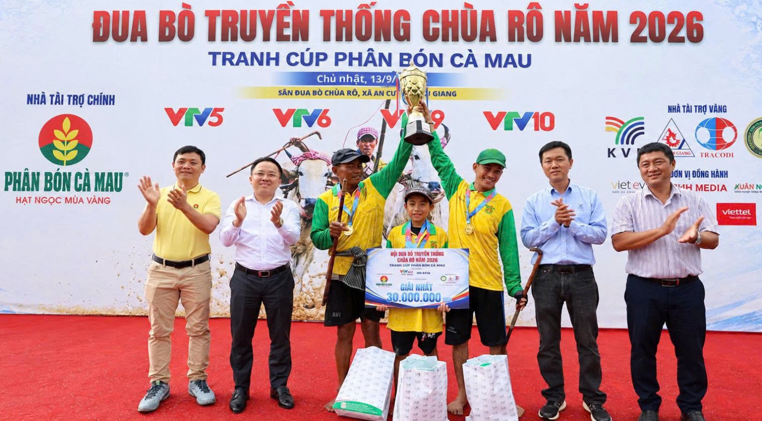 Sôi nổi Hội đua bò tranh Cúp Phân bón Cà Mau