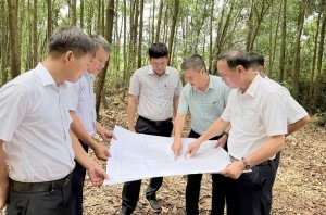 Đẩy nhanh giải phóng mặt bằng Dự án TBA 220kV Dung Quất 2 và đường dây đấu nối