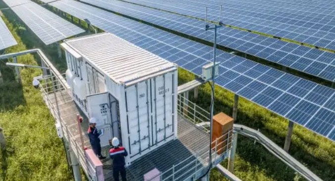 Cà Mau đầu tư nhà máy điện mặt trời kết hợp pin lưu trữ hơn 800 tỷ đồng