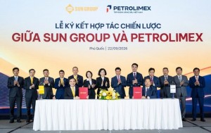 Bảo hiểm PJICO sẵn sàng đồng hành, kết nối giá trị từ các hệ sinh thái Petrolimex và Sun Group