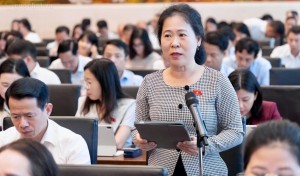 ĐBQH đề xuất cơ chế gỡ điểm nghẽn cho điện gió ngoài khơi