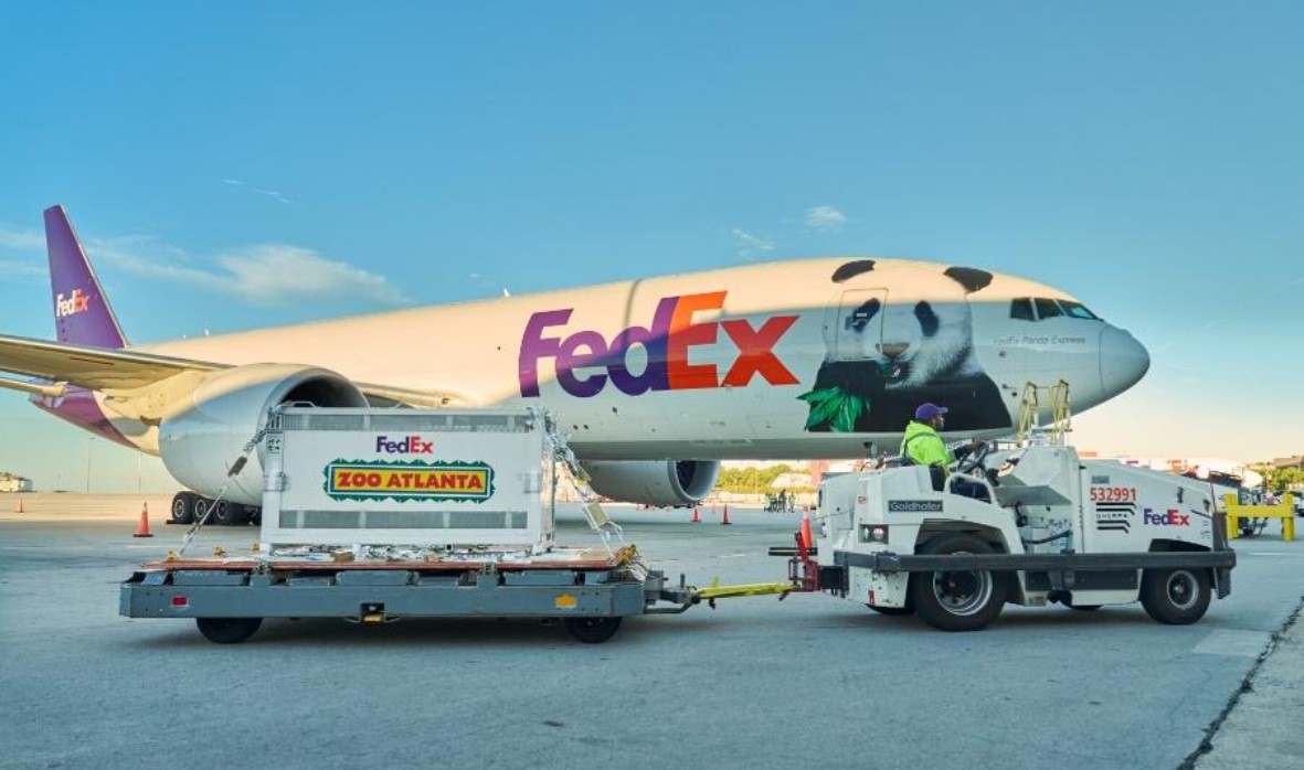 Hai “hành khách” đặc biệt trên chuyến bay FedEx từ Trung Quốc sang Mỹ