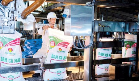 PVCFC: Hướng tới hệ sinh thái nông nghiệp tích hợp