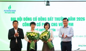 PV GAS CNG kiện toàn nhân sự Hội đồng quản trị, Ban Kiểm soát nhiệm kỳ 2026-2031
