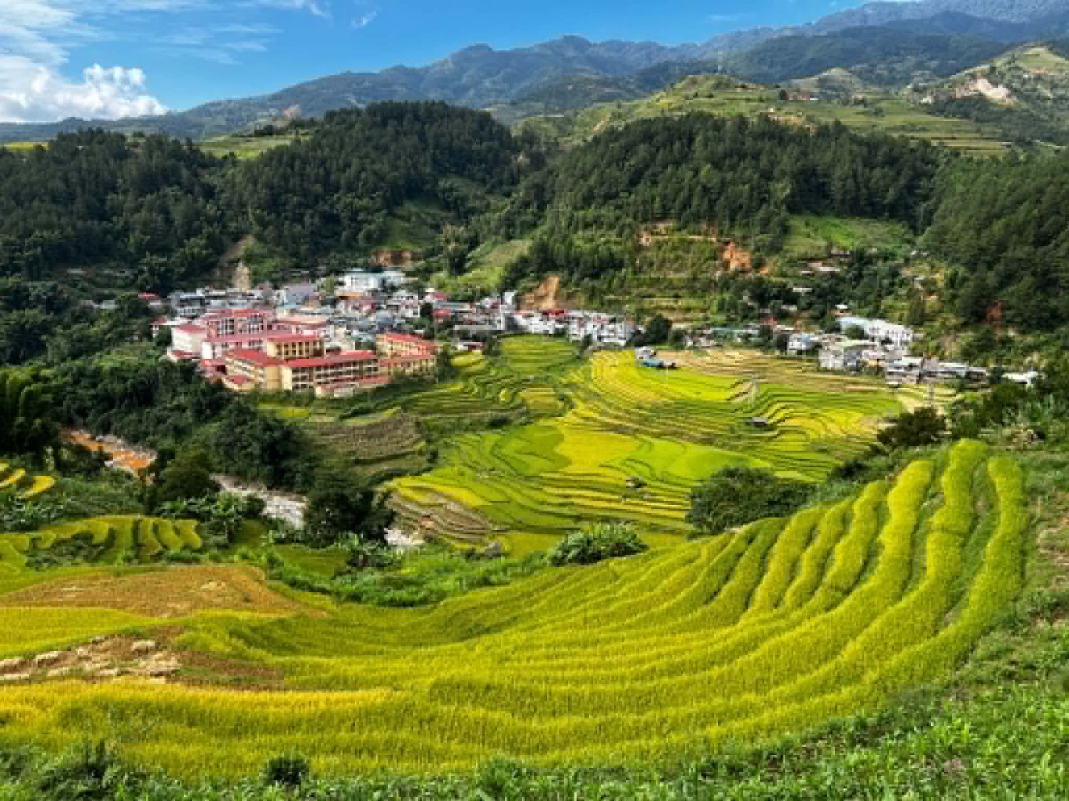 [Chùm ảnh] Mù Cang Chải rực rỡ sắc vàng mùa lúa chín