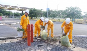 Tuổi trẻ KĐN chung tay xây dựng môi trường làm việc xanh - sạch - đẹp