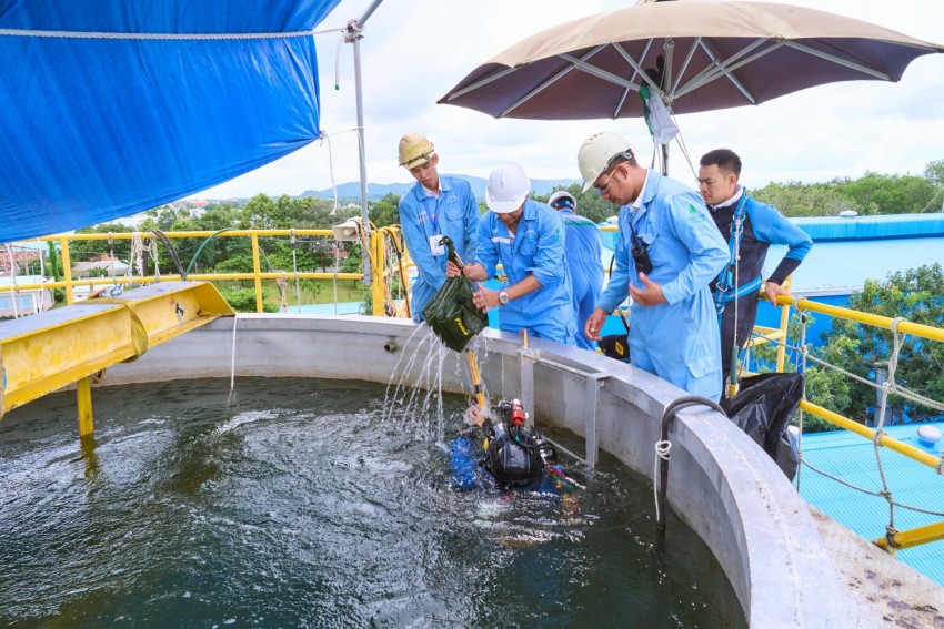 Hội thi tay nghề Dầu khí lần thứ IX -Năm 2026: Những cuộc tranh tài đầu tiên chính thức bắt đầu Hội thi Tay nghề Dầu khí lần thứ IX: Những cuộc tranh tài đầu tiên chính thức bắt đầu