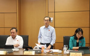 ĐBQH Trần Hoàng Ngân: Tháo gỡ điểm nghẽn pháp lý, tạo dư địa phát triển cho ngành điện