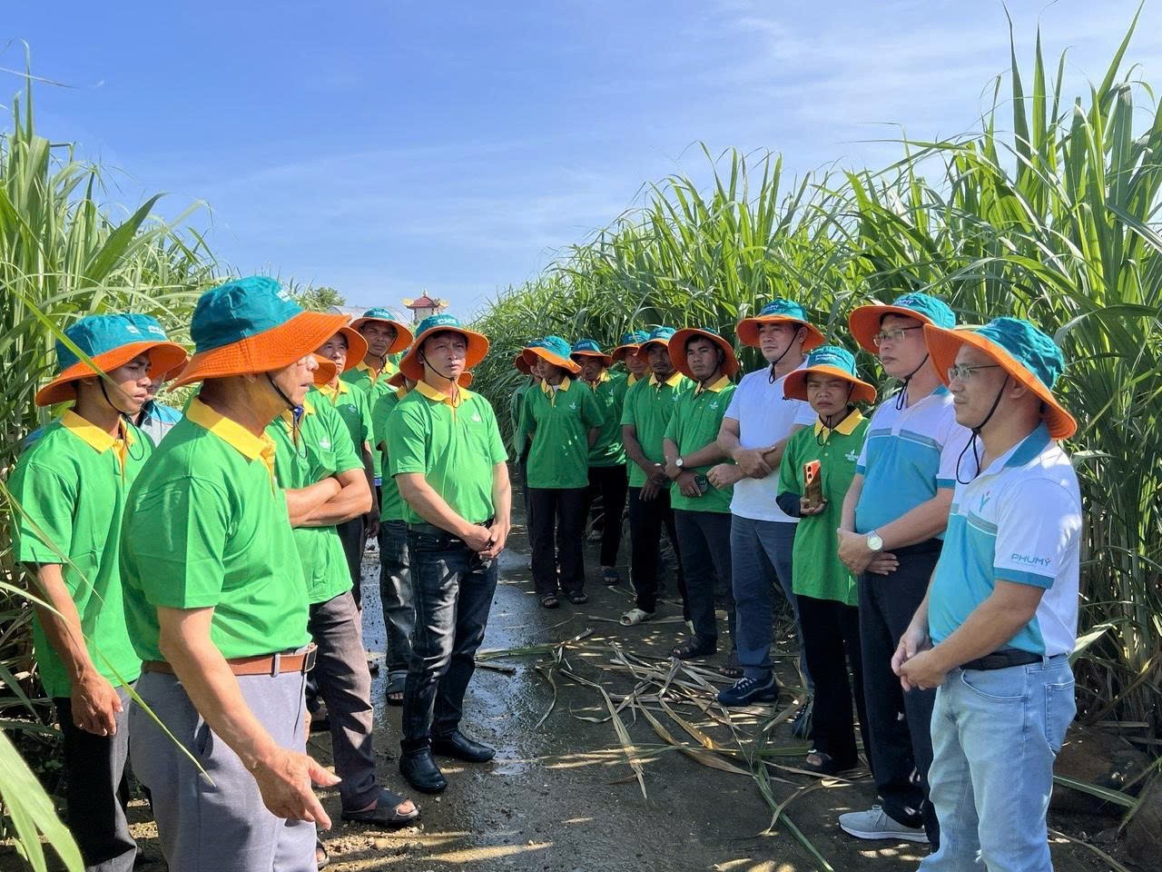 9 tháng năm 2026: PVFCCo - Phú Mỹ duy trì đà tăng trưởng, mở rộng không gian phát triển 9 tháng năm 2026: PVFCCo - Phú Mỹ duy trì đà tăng trưởng, mở rộng không gian phát triển