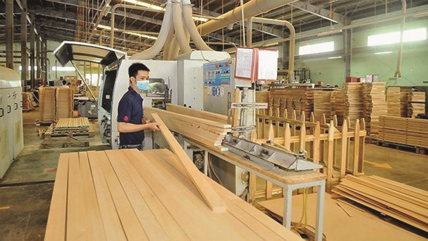 Tin tức nổi bật ngày 23/10: Mục tiêu xuất khẩu lâm sản đạt trên 20 tỷ USD vào năm 2030