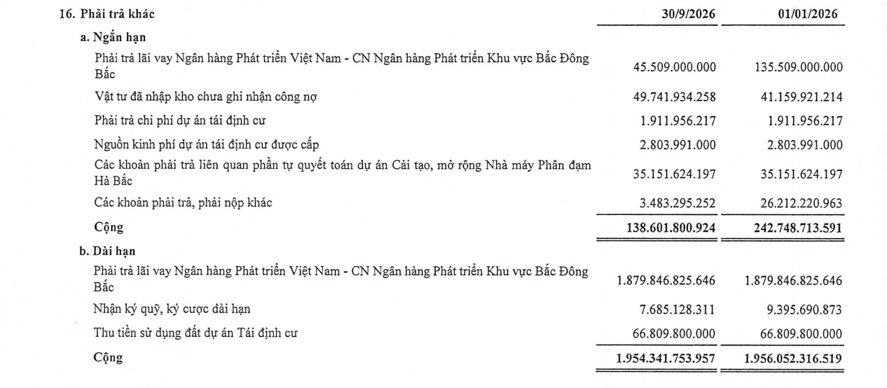 Doanh nghiệp đạm từng thua lỗ báo lãi đậm sau 9 tháng