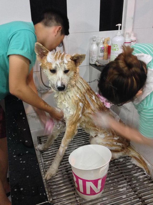 khoc rong vi bo tien trieu cung khong co cho gui thu cung dip tet