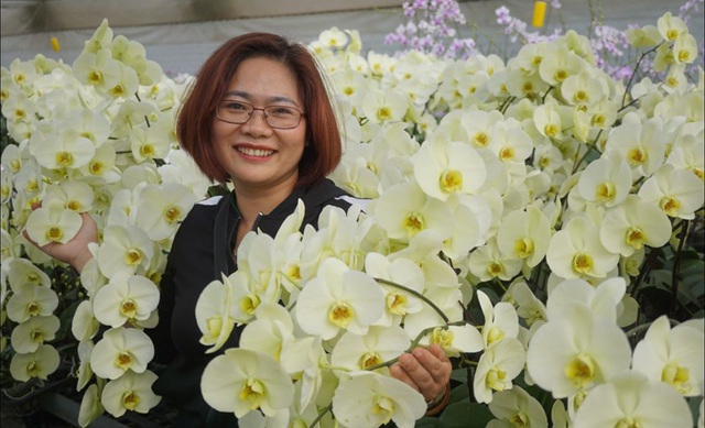 Người Việt ứng dụng "4.0" trồng lan: Hết thời hoa ngoại độc chiếm thị phần hồ điệp Tết Người Việt ứng dụng