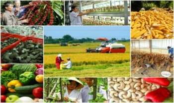 Tiếp tục thực hiện Nghị quyết TW7 về nông nghiệp, nông dân, nông thôn