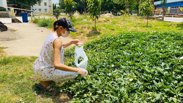 Sao Việt ngày 25/3: Phạm Đức Huy có bạn gái mới siêu nóng bỏng, là nữ giám đốc? sao viet ngay 253 pham duc huy co ban gai moi sieu nong bong la nu giam doc