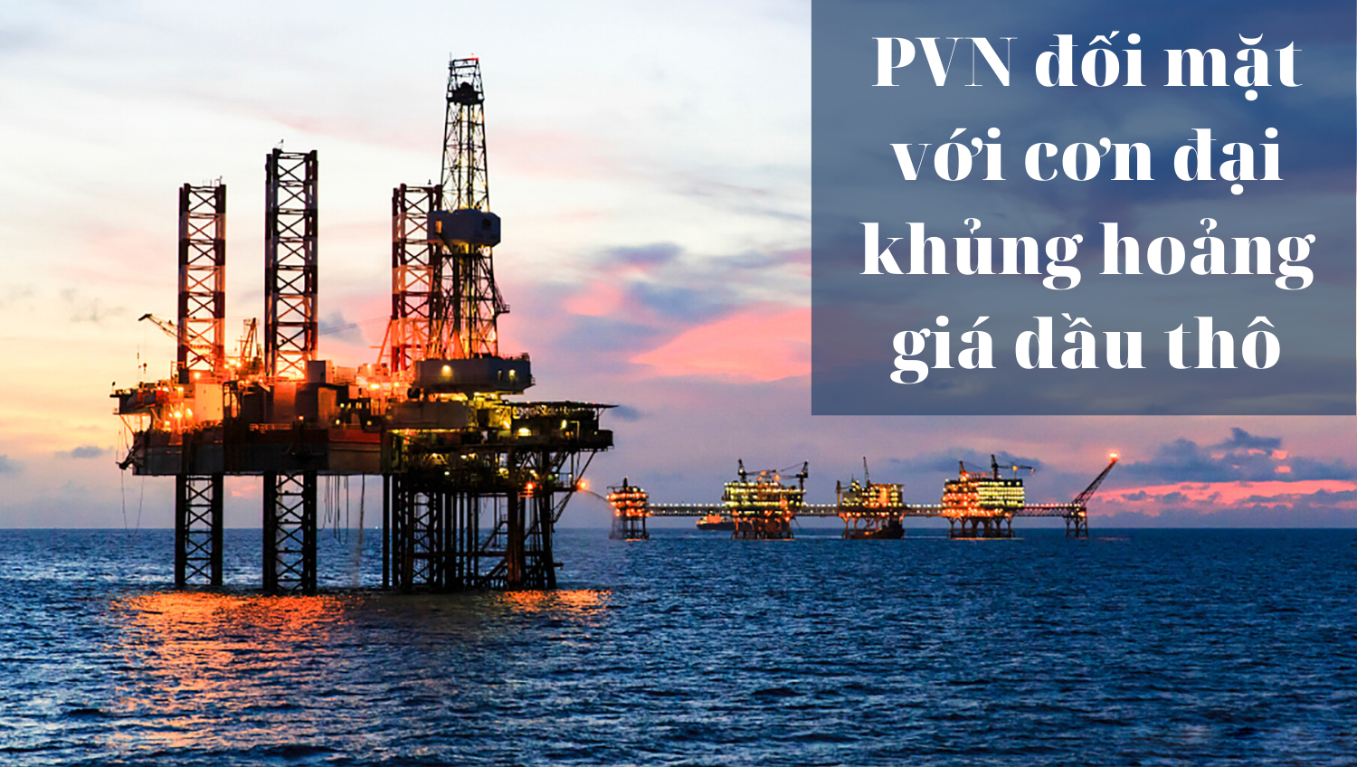 e magazine pvn doi mat voi con dai khung hoang gia dau tho