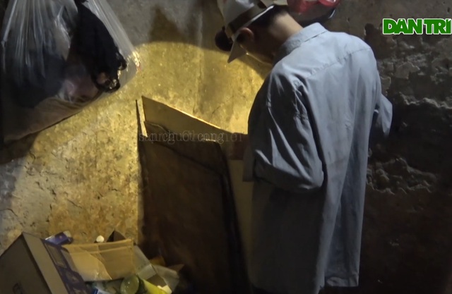 Thợ săn tung chiêu bắt gọn 30kg chuột cống trong một đêm - 3